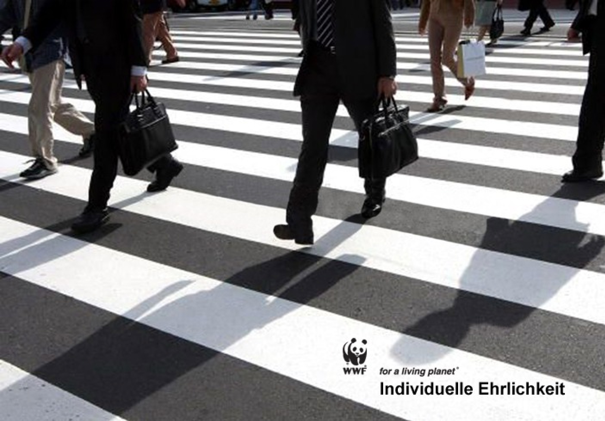 WWF® | Citylight Poster